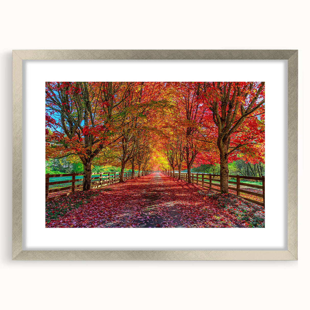 Framed wall art collection featuring serene landscapes and trees, presented in a silver frame with a mat, ideal for home decor or office interiors.
