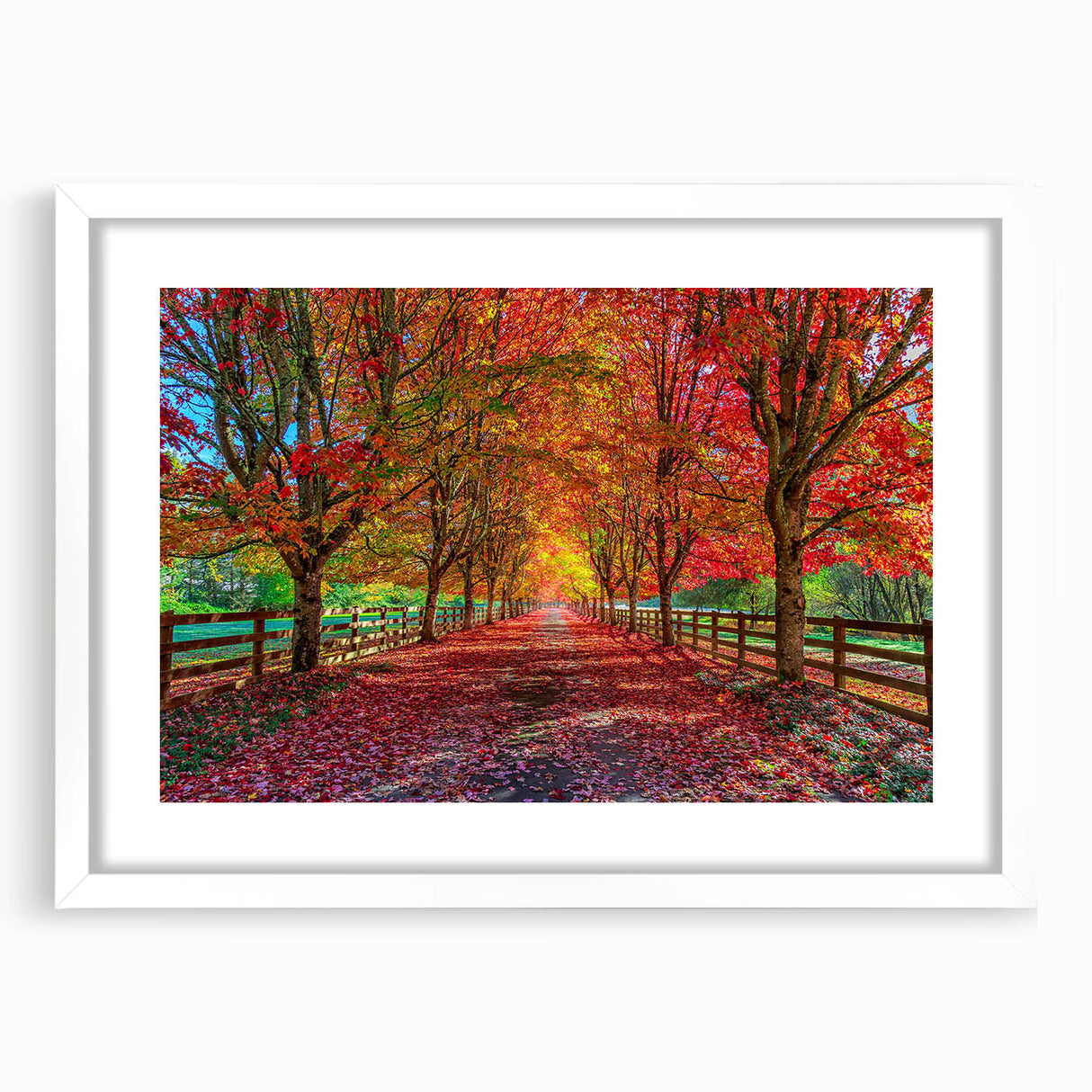 Framed wall art collection showcasing a serene landscape with trees, featuring a white mat and sleek design, perfect for home decor enhancement.