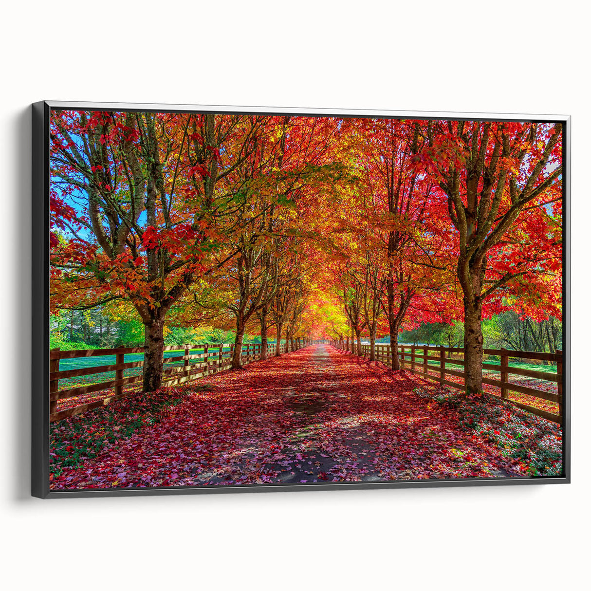 Framed canvas wall art showcasing a vibrant landscape design with intricate trees, featuring a sleek black frame and side view displaying its elegant aesthetics. Ideal for modern home decor, this piece adds a touch of nature-inspired beauty to any room.
