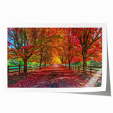 Vibrant rolled canvas print showcasing a serene landscape of lush green trees, ideal for modern home decor, packaged securely in a protective tube.