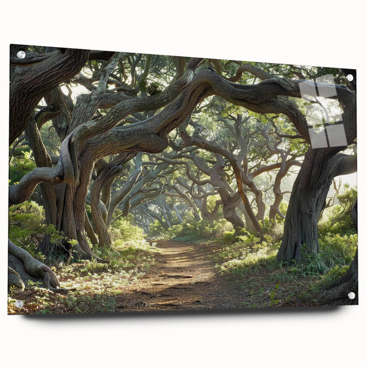 Acrylic glass wall art collection showcasing a vibrant landscape design with trees, displayed side view with decorative pins, perfect for modern home decor.