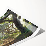 Rolled print showcasing a serene landscape of vibrant green trees against a clear blue sky, ideal for home decor. Perfect for nature lovers and art enthusiasts.