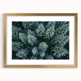 Framed wall art featuring a serene landscape design with trees, elegantly matted and encased in a gold frame, perfect for enhancing home decor and creating a calming atmosphere.
