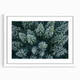 Framed wall art featuring a serene landscape of trees in muted colors, elegantly showcased with a white mat, perfect for enhancing home decor in natural settings.