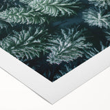 Vibrant rolled canvas showcasing a stunning landscape with tall trees and a serene sky, perfect for home decor or office artwork, packaged securely for delivery.