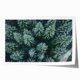 Vibrant landscape wall art print featuring a serene tree design in rich greens and browns, rolled and ready for framing, ideal for nature-inspired decor.