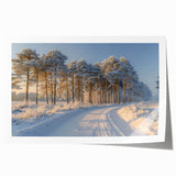 Vibrant rolled print showcasing a serene landscape featuring lush green trees and a tranquil blue sky, ideal for home decor or office spaces. Perfect for nature lovers and art enthusiasts seeking to enhance their environment with calming colors and natural beauty.