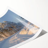 Vibrant rolled wall art print showcasing a serene landscape with lush green trees and a tranquil blue sky, perfect for enhancing home decor aesthetics.