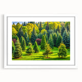 Framed wall art showcasing a serene landscape of trees, presented in a sleek white frame with a mat, perfect for enhancing modern home decor. Ideal for nature lovers seeking elegant wall accents.
