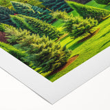Rolled canvas artwork showcasing a vibrant landscape with lush trees, designed for home decor. The piece features rich colors and intricate details, perfect for enhancing any living space.