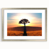Framed wall art featuring a serene landscape of trees with a silver mat, perfect for home decor, showcasing natural beauty and tranquility in modern interiors.