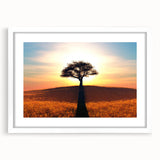 Framed wall art collection showcasing serene landscape with trees, featuring a white mat and sleek frame, ideal for home decor and nature enthusiasts.