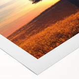 Rolled canvas wall art featuring a vibrant landscape design with lush green trees and a serene blue sky, elegantly packaged for easy display and protection.