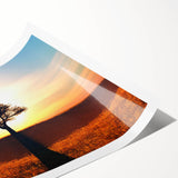 Vibrant rolled wall art print showcasing a serene landscape of trees, featuring lush green foliage and soft earth tones, ideal for home décor or nature enthusiasts.