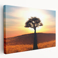 Stretched canvas wall art showcasing a vibrant landscape with lush green trees and a serene blue sky, perfect for home decor and nature enthusiasts.