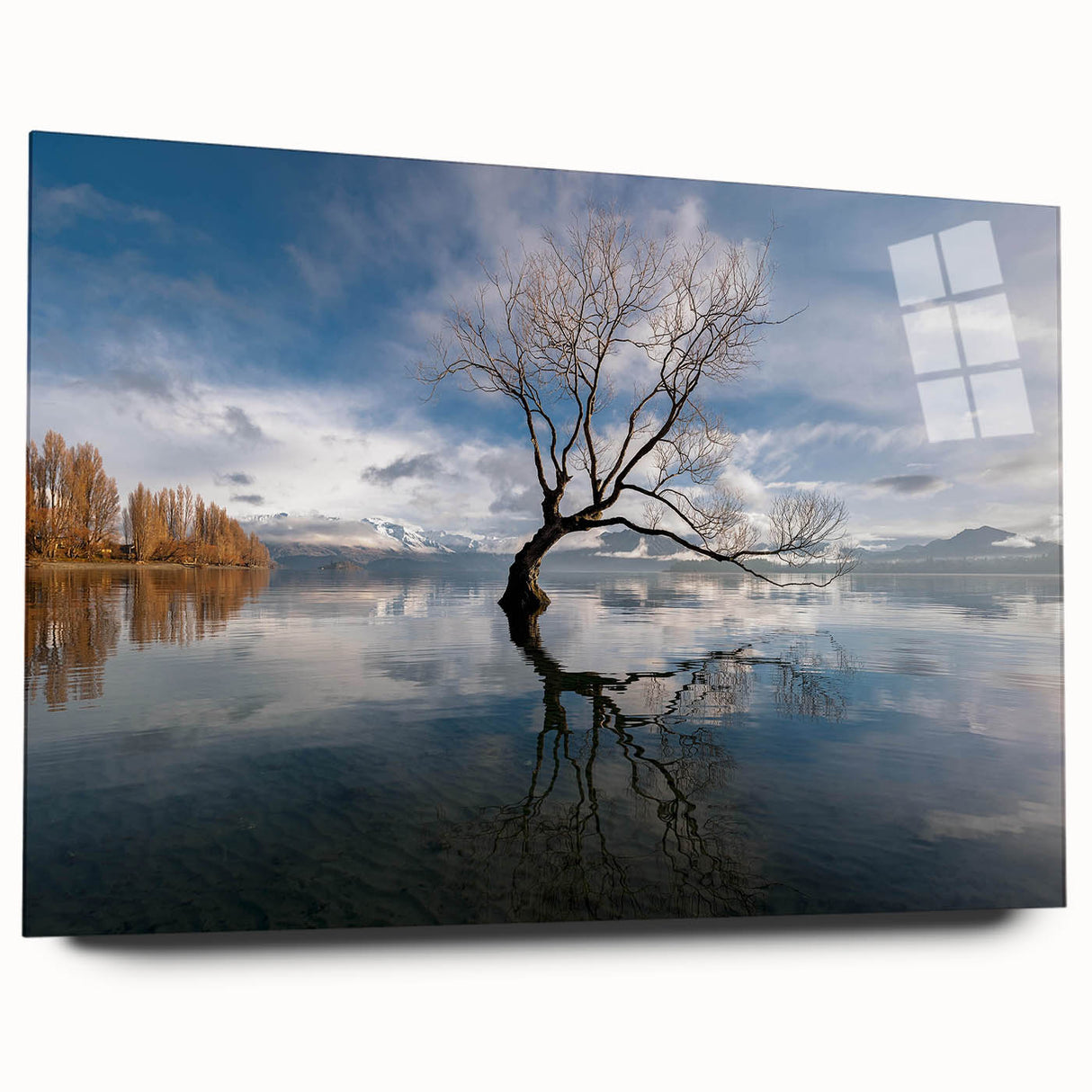 Acrylic glass wall art featuring a serene landscape of lush green trees, showcasing vibrant colors and intricate details, ideal for modern home decor.