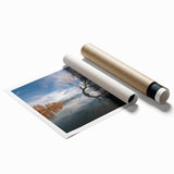 Vibrant rolled print of a serene landscape with lush green trees, showcasing intricate details and rich colors, ideal for enhancing home decor. Perfect for art lovers seeking nature-inspired wall art.