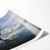 Lush green landscape artwork featuring tall trees and vibrant colors, printed on high-quality canvas, ideal for home decor and nature lovers. Perfect addition to any wall art collection.