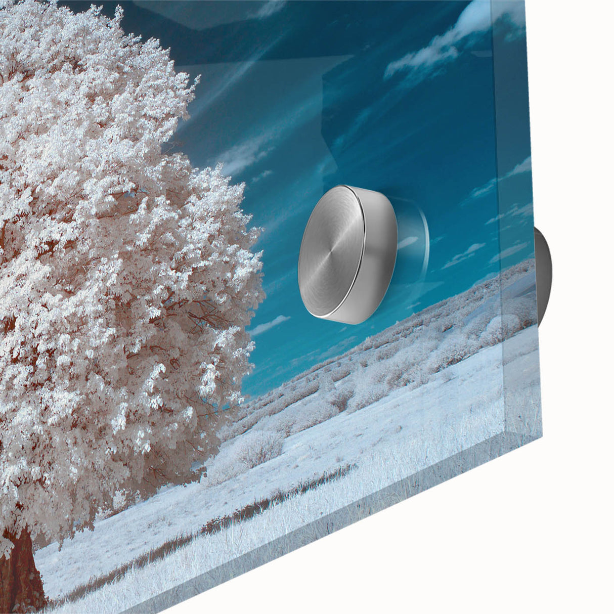 Close-up of a vibrant acrylic glass wall art piece depicting a serene landscape with stylized trees, featuring rich greens and blues, ideal for modern decor.