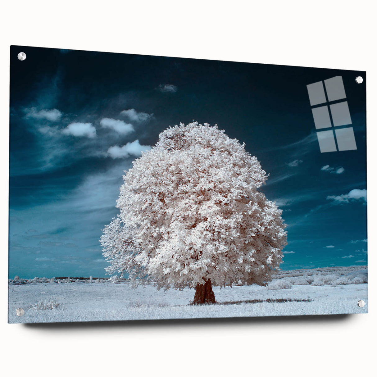 Side view of a contemporary acrylic glass wall art piece showcasing a vibrant landscape with trees, elegantly mounted with pins for a modern aesthetic.