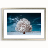 Framed wall art featuring a serene landscape of trees, designed with a silver mat, perfect for home decor. Ideal for adding a touch of nature to any room.
