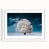 Framed wall art featuring a serene landscape of trees, set within a white mat, showcasing a peaceful and natural aesthetic ideal for home decor.