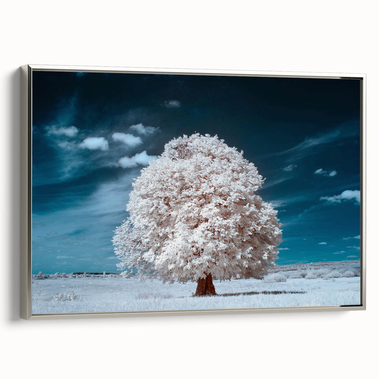 Framed canvas wall art featuring a serene landscape with trees, showcasing vibrant colors and a sleek silver frame, perfect for enhancing home decor.