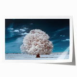 Landscape wall art print showcasing a serene forest scene with vibrant green trees and soft sunlight filtering through the leaves, rolled for easy shipping and display.