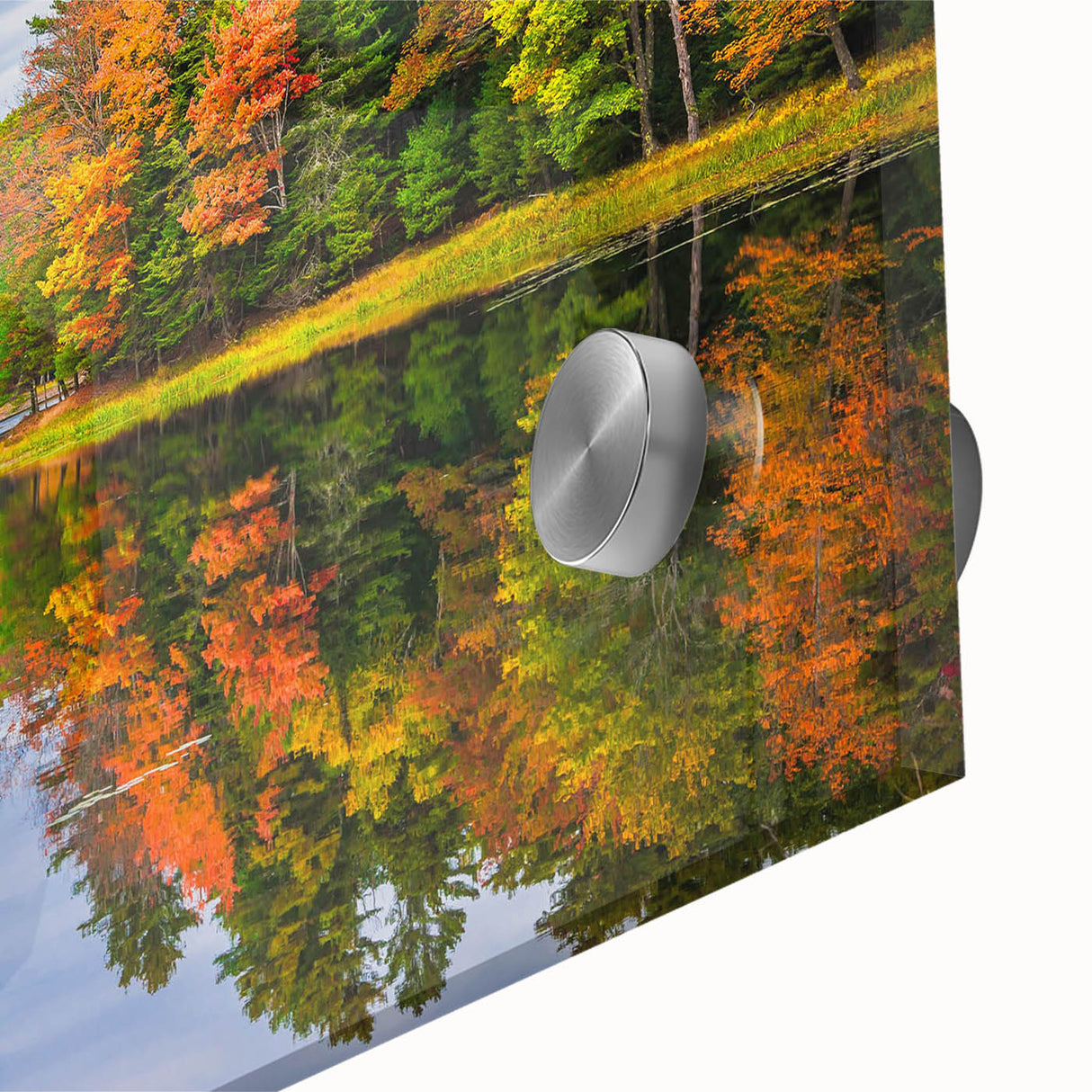 Close-up of a vibrant acrylic glass wall art piece showcasing a serene landscape with lush green trees, perfect for enhancing home decor and adding a natural touch.