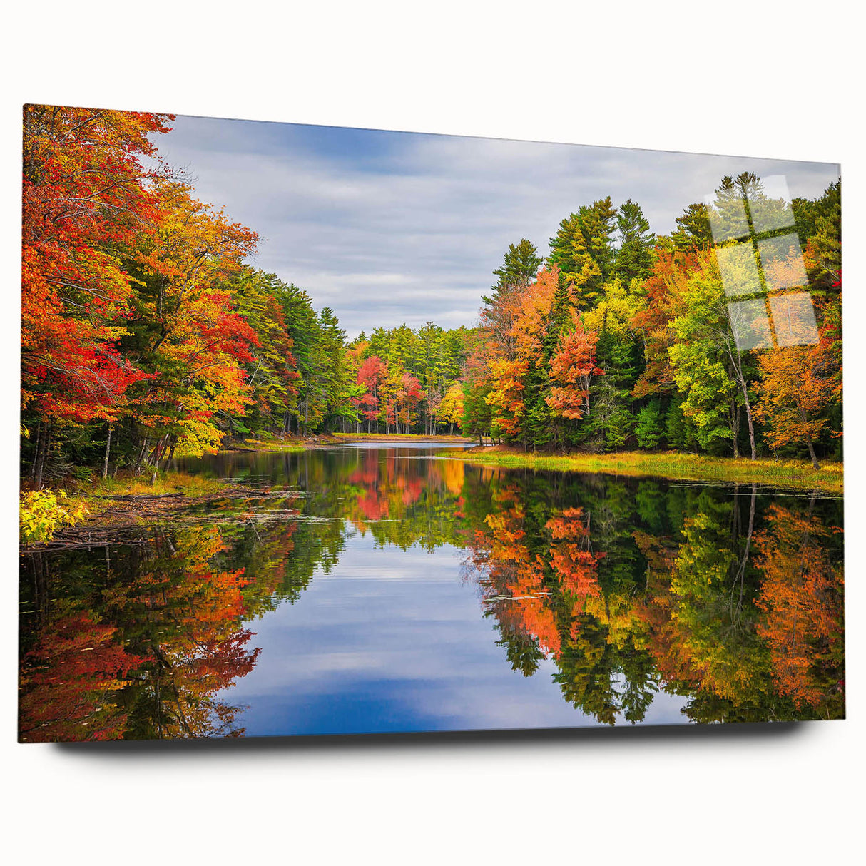 Acrylic wall art collection showcasing a vibrant landscape design with trees, displayed in a sleek side view, ideal for modern home decor. The artwork's colors are rich and inviting, perfect for adding a natural touch to any space.