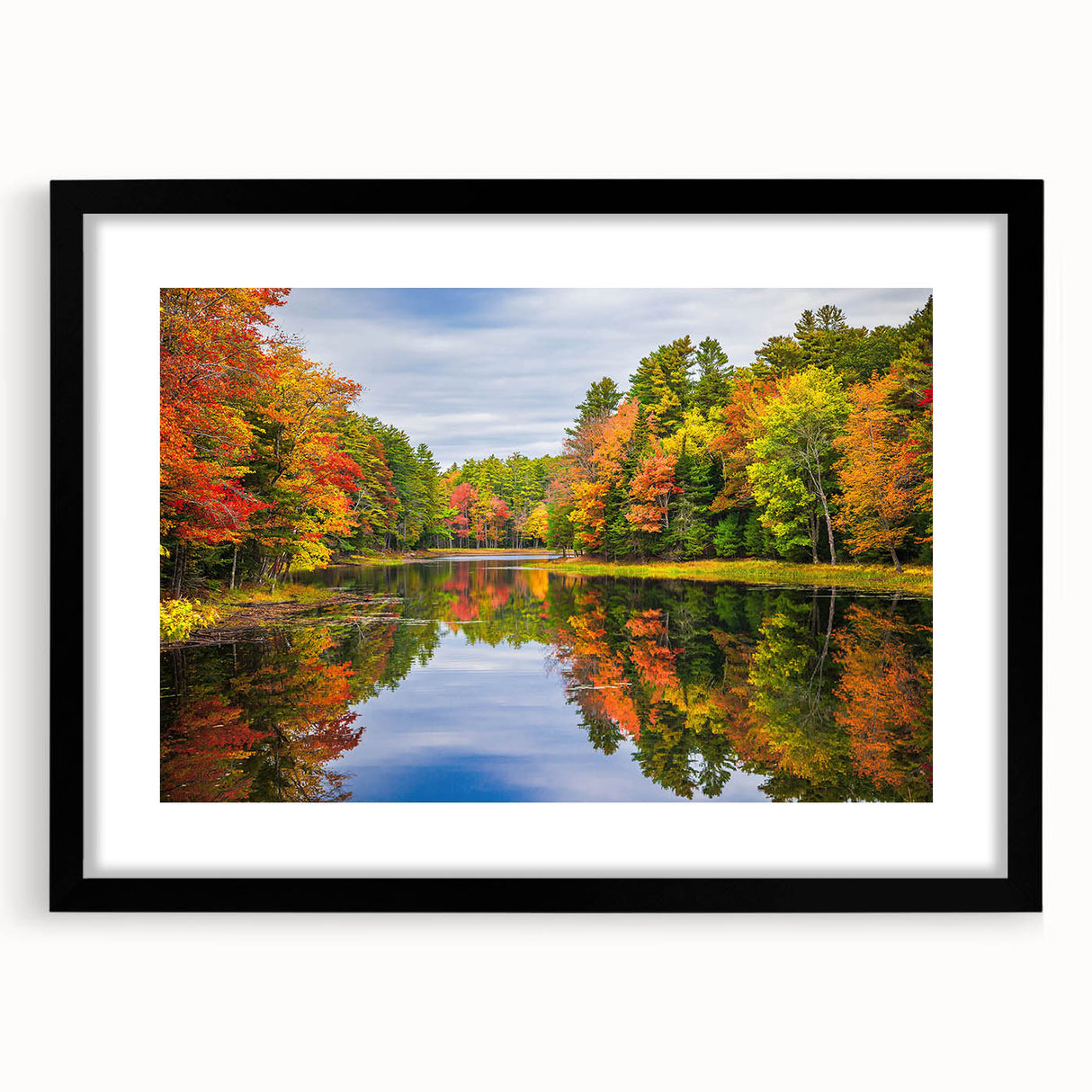 Framed wall art collection featuring a stunning landscape design with trees, presented in a sleek black frame and white matting, perfect for modern home decor.