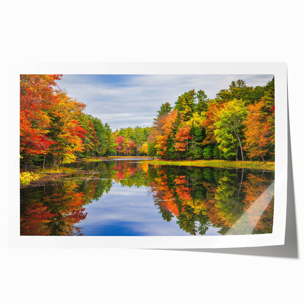 Vibrant landscape wall art print showcasing lush green trees against a serene blue sky, rolled for easy shipping in a protective tube, perfect for home decor.