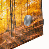 Close-up of a vibrant wall art piece showcasing a detailed acrylic glass design of lush green trees and landscapes, perfect for home decor and nature enthusiasts.