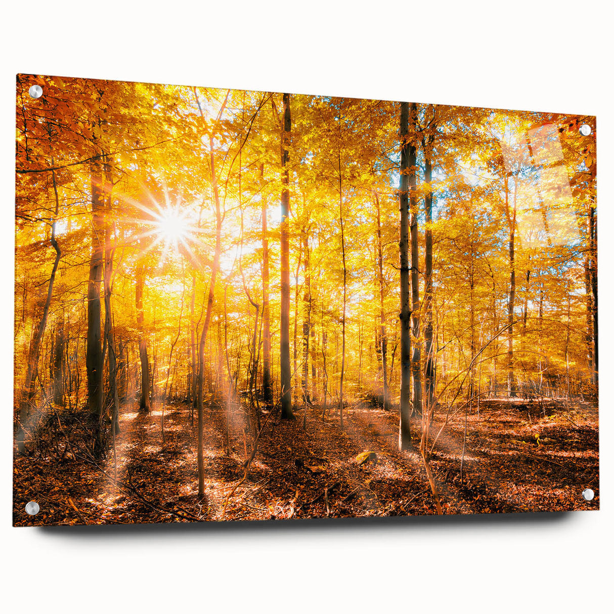 Acrylic wall art collection showcasing a vibrant landscape with stylized trees, presented in a modern side-view display with decorative pins, perfect for contemporary decor.