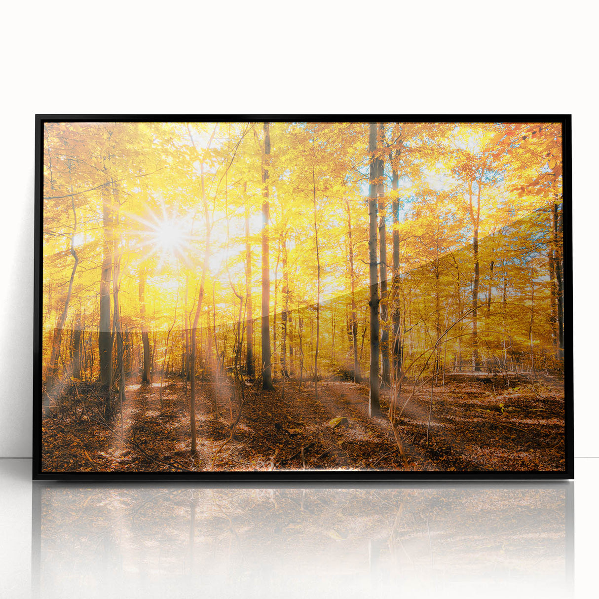 Framed acrylic wall art showcasing a vibrant landscape with trees, featuring a sleek black frame, perfect for modern home decor and nature enthusiasts.