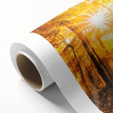 Rolled canvas artwork showcasing a vibrant landscape with lush green trees and a serene blue sky, designed for home decor, elegantly packaged in protective cardboard.