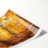 Rolled print showcasing a serene landscape of lush green trees and a tranquil blue sky, perfect for adding a natural touch to any interior decor. Ideal for nature enthusiasts and art lovers.