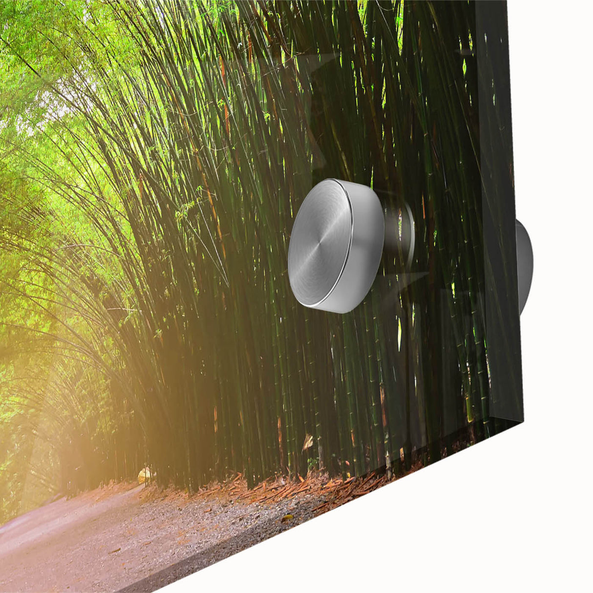Close-up of a vibrant acrylic glass wall art piece showcasing a detailed landscape with lush green trees, perfect for enhancing home decor and creating a serene atmosphere.