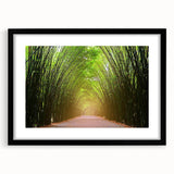 Framed wall art collection showcasing a scenic landscape with trees, featuring a sleek black frame and white mat, perfect for home decor enhancement.