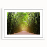 Framed landscape wall art collection featuring trees in a serene setting, with a white mat and modern design, ideal for home decor enhancement.