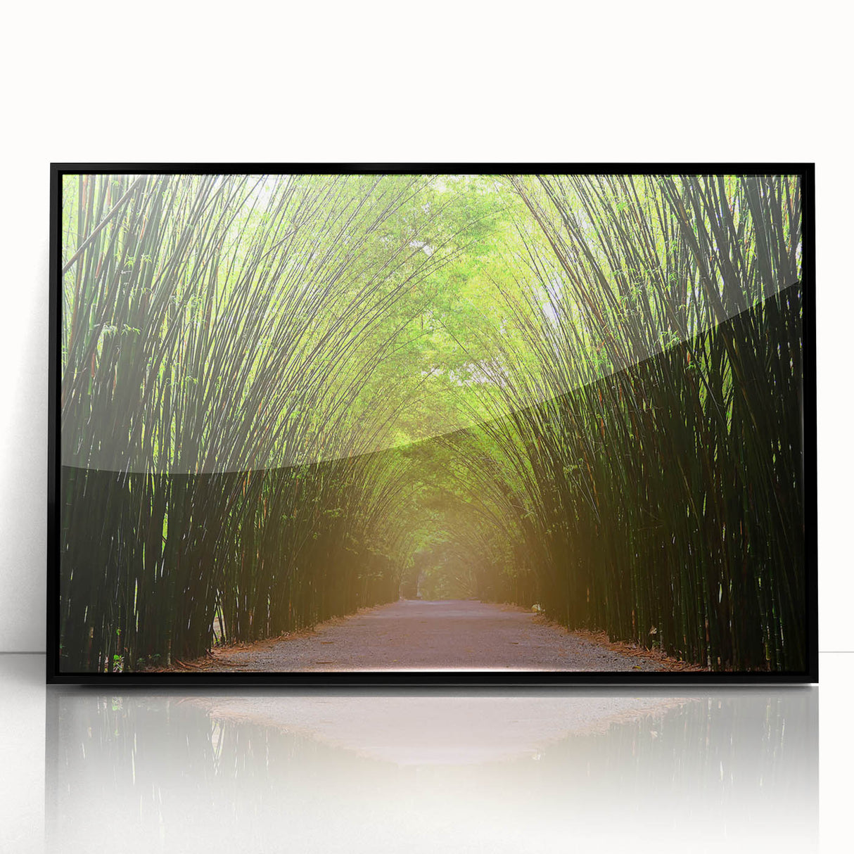 Framed acrylic wall art showcasing a collection of 50 landscape trees designs, featuring a sleek black frame and vibrant colors, ideal for modern home decor.