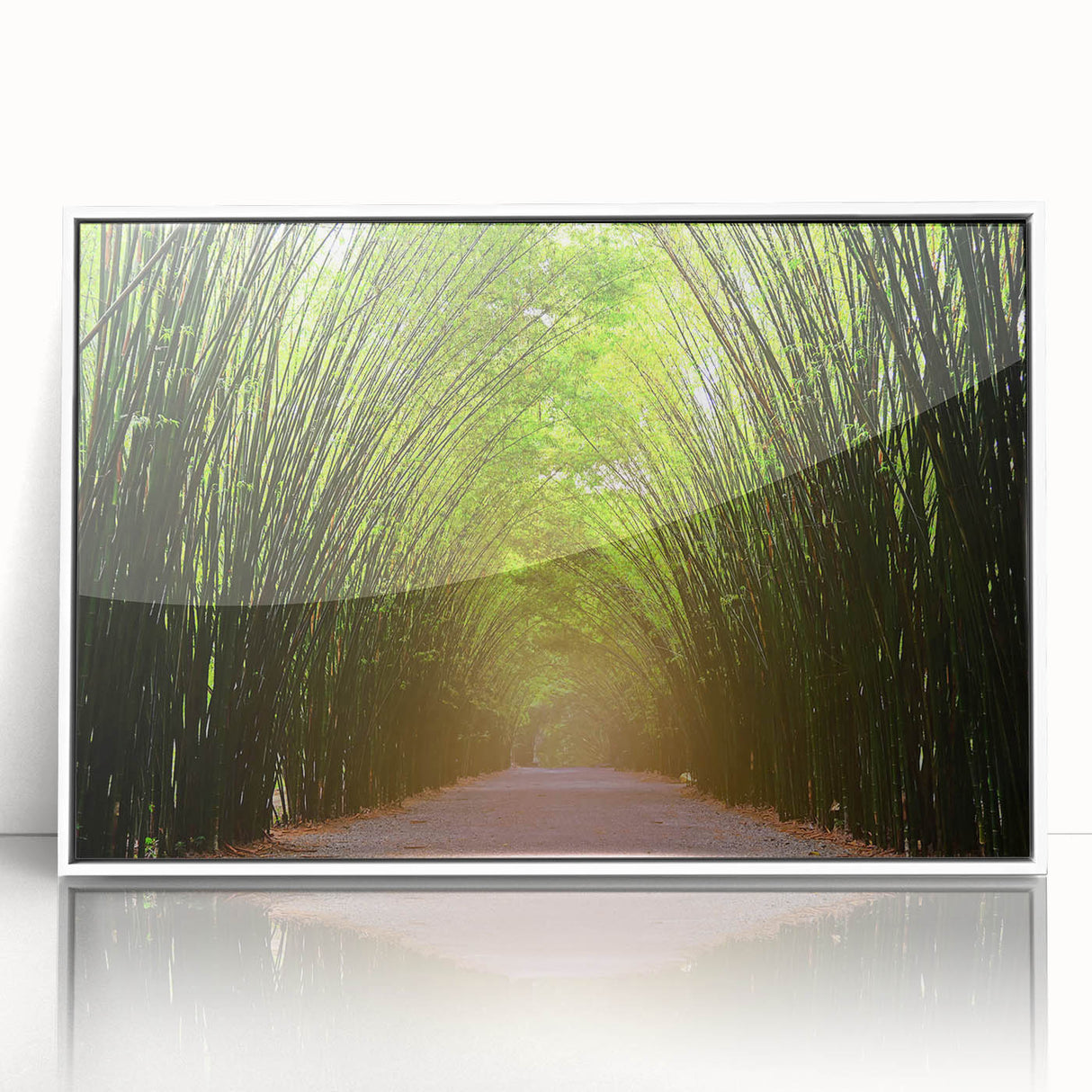 Framed acrylic wall art showcasing a serene landscape with trees, designed for home decor. The artwork features a white frame and vibrant colors, perfect for enhancing interior spaces.