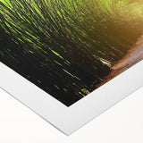 Rolled canvas artwork showcasing a vibrant landscape design with lush green trees and serene nature elements, ideal for enhancing home decor.