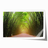 Landscape wall art print showcasing vibrant green trees against a serene blue sky, rolled and packaged for easy display. Ideal for nature-inspired decor.