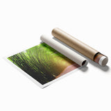 Rolled print showcasing a vibrant landscape design featuring lush green trees and rolling hills, perfect for home decor or wall art collection.