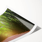 Rolled print showcasing a vibrant landscape design featuring lush green trees and a serene sky, perfect for home decor, emphasizing nature's beauty and tranquility.