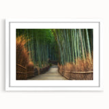 Framed wall art featuring a serene landscape with lush green trees and a white mat, designed to add a natural touch to home decor. Perfect for nature lovers.