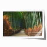 Vibrant rolled print of a serene landscape featuring lush green trees and a tranquil sky, perfect for home decor. Ideal for nature lovers seeking artistic inspiration.