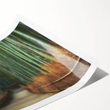Rolled print showcasing a serene landscape with vibrant green trees and a calming blue sky, ideal for enhancing home decor and creating a tranquil atmosphere.