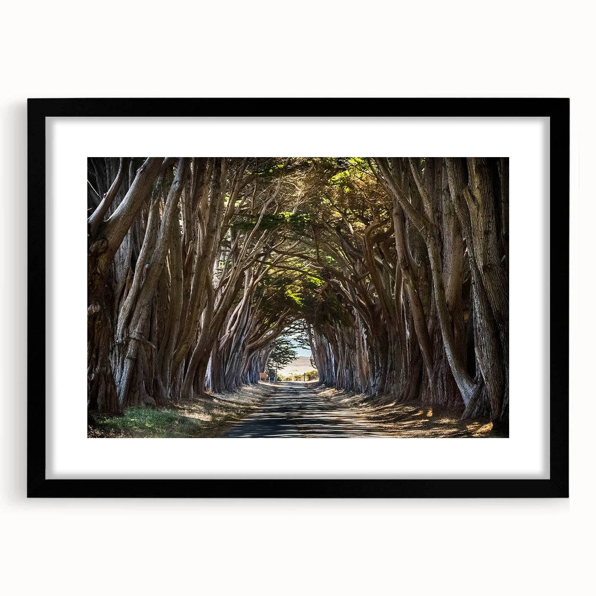 Framed wall art collection showcasing a serene landscape with trees, featuring a sleek black frame and matting, designed to enhance modern home decor.